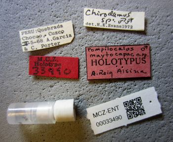 Media type: image;   Entomology 33490 Aspect: labels